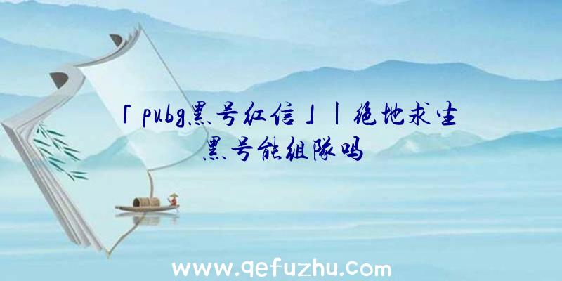 「pubg黑号红信」|绝地求生黑号能组队吗